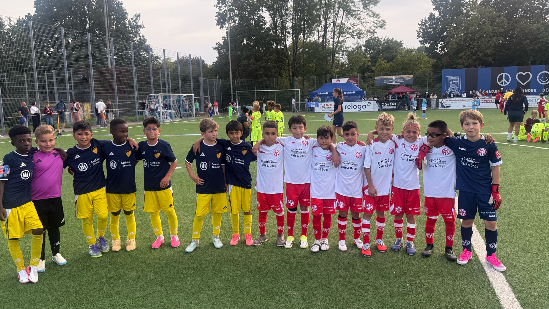 Festival Meisterschaft